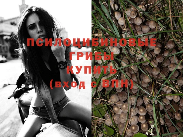 мдпв Баксан